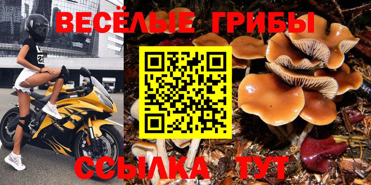 Галлюциногенные грибы мухоморы Киселёвск