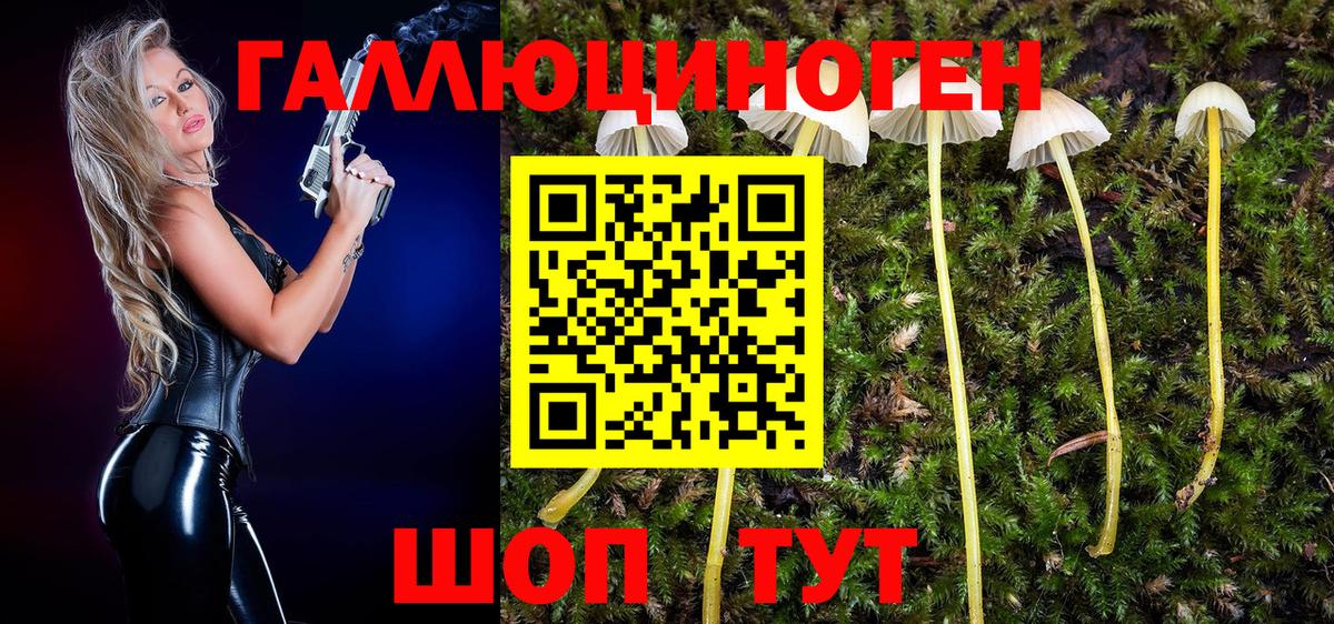 Галлюциногенные грибы мухоморы  Вход с VPN  Киселёвск  Галлюциногенные грибы Cubensis 